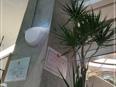 -gaga(深圳南山益田假日广场店)