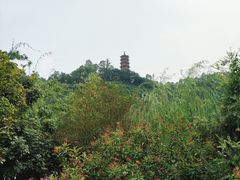-南沙天后宫景区