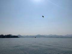 -西湖外事游船(湖滨二公园外事游船码头)