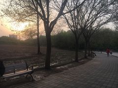-金星公园