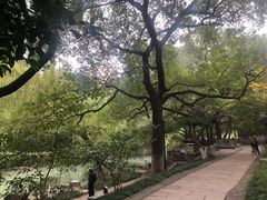 -素清香(解放路店)