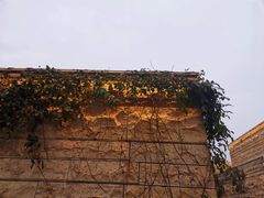 -盘龙城国家考古遗址公园