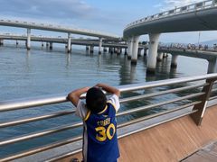 -演武大桥观景平台