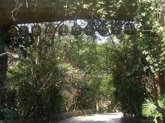 -西双版纳总佛寺