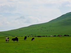 -莫日格勒旅游景区