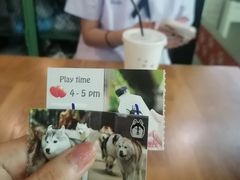 -TrueLove @ Neverland (Husky Cafe)