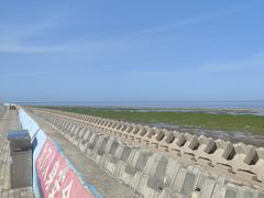 -南汇嘴观海公园