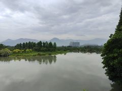 -三垟湿地