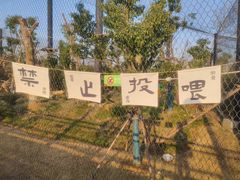 -武汉动物园