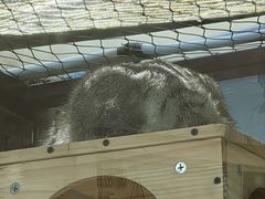 -青藏高原野生动物园