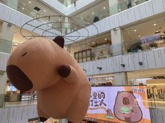 -凯德MALL(西直门店)