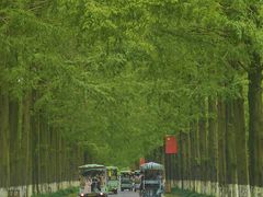 -黄海国家森林公园