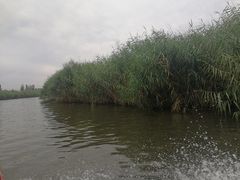 -白洋淀景区