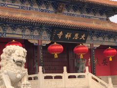 -大悲禅寺