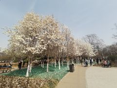 -睦南公园
