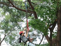 -芦仙山景区-飞越丛林探险乐园