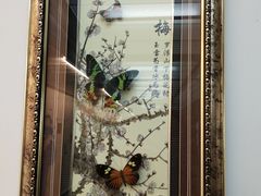 -上海大自然野生昆虫馆(东方明珠·爬宠昆虫探索中心)