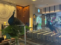 -西双版纳融创皇冠假日度假酒店