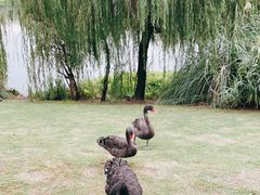 -南通濠河风景名胜区