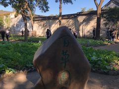 -绍兴鲁迅故里·沈园景区