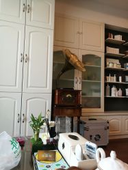 -scarlet斯卡莱美容护理机构