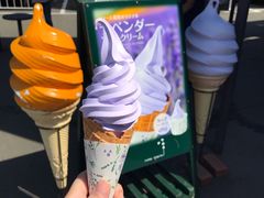 -富田农场