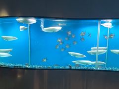 -碧涛阁水世界酒店(万家丽路店)