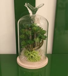 -Yue Show馨选·半永久纹眉纹眼线