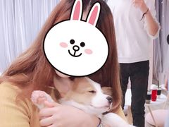 -浣熊柯尔鸭土拨鼠·电玩咖
