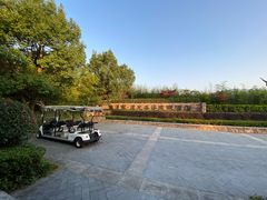 -帐篷客·溪龙茶谷度假酒店