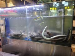 -本炙炭烤·蒲烧活鳗料理店(金沙洲店)