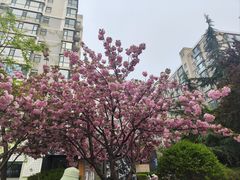 -山东大学(千佛山校区)
