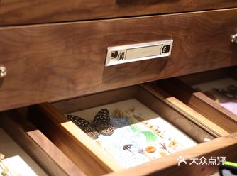 成都探店｜Regular 源野里贩卖大自然的店