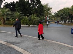 -宝安西湾红树林湿地公园