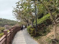 -小南山公园