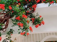 -人民公园(罗湖区)