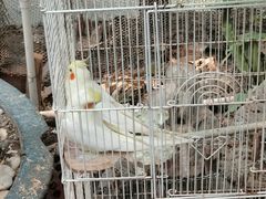 -上海大自然野生昆虫馆