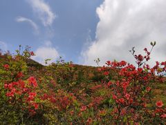 -大围山国家森林公园