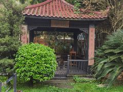 -翠园十八号庭院餐厅