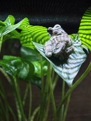 -Zoolung Zoolung动物主题公园(海信广场店)