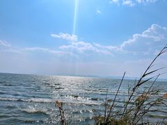 -捞渔河湿地公园