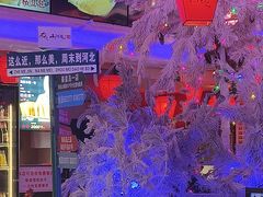 -山河屯铁锅炖鲜鹅·东北菜(开发区一店)