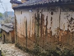 -杨家堂村