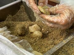 -叶氏麻糍(鼓浪屿店)