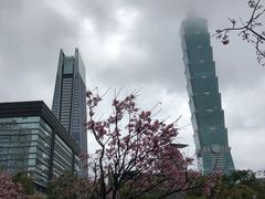 -台北101
