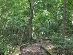 景点-南山风景名胜区