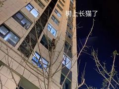 -绿地香港菁舍公寓