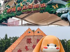 -深圳野生动物园
