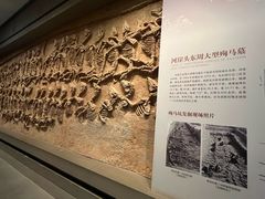 -齐文化博物馆