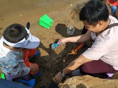 -丁香湖公园